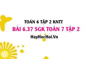 Bài 6.37 SGK Toán 7 tập 2 Kết nối tri thức